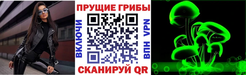 Псилоцибиновые грибы GOLDEN TEACHER  Купить  Талдом 