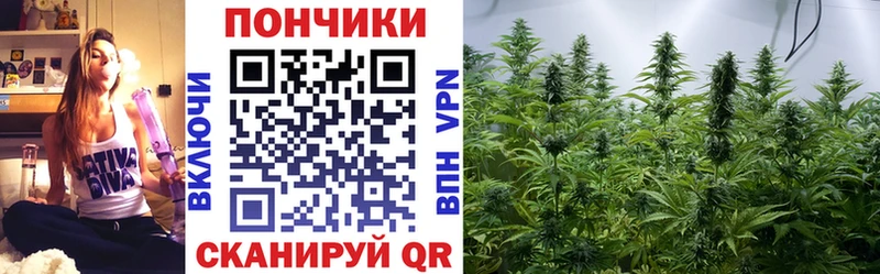 Каннабис план  Купить закладки  Талдом 