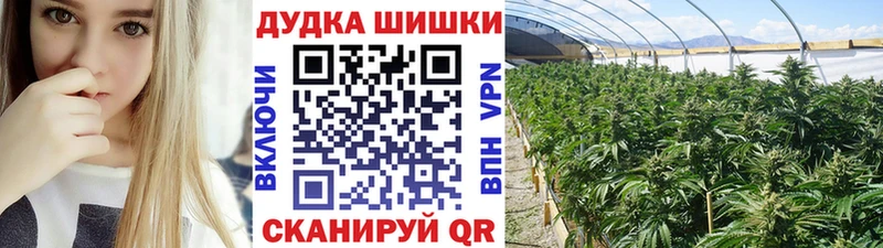 Конопля SATIVA & INDICA Талдом